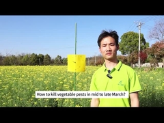 Agricultura Bio Insecticida repollo oruga boca trasera de diamante larvas pesticida biológico