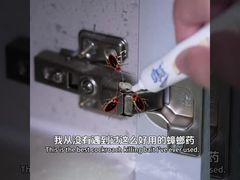 Insecticida biológico para adultos, cucarachas, larvas y huevos. Gel cebo para eliminar cucarachas.