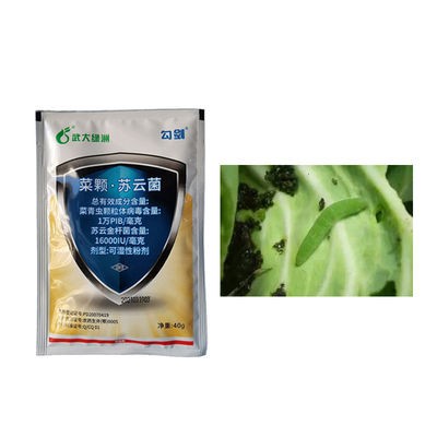 Sustainable Agriculture Pesticide Non Drug Resistance Cabbage Worm Killer Safe for Plants