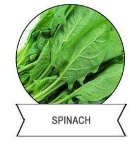 SeNPV Bt Bio Pesticide for Spodoptera & Plutella Control in Vegetables