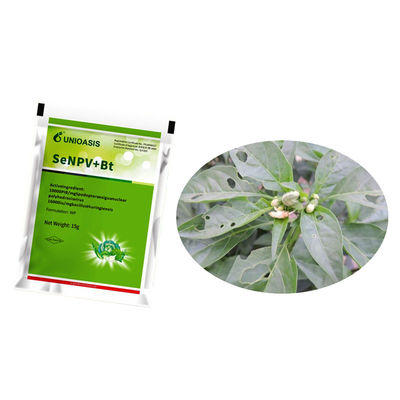 Natural Organic Pesticide Biological Insecticide Effective Against Fall Armyworm and Compatible With Other Pesticides