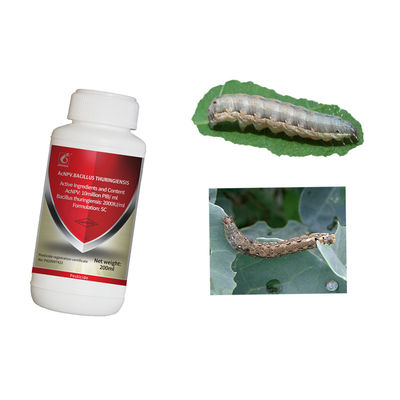 Organic Certified Maize Crop Pesticides with 2 Years Shelf Life in Liquid Formulation