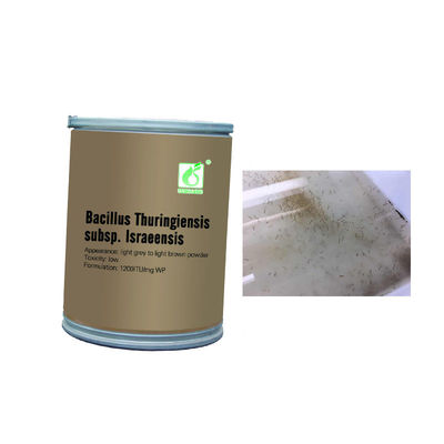 BTi 1200ITU/mg Powder Mosquito Wiggler Killer Manufacturer 100g/bag 25kg/drum