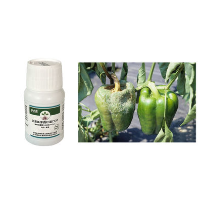 300 Times lrrigation Root Blade Spray Fungicide Bacillus velezensis Prevent Root Rot Dead Tree Aubergine 