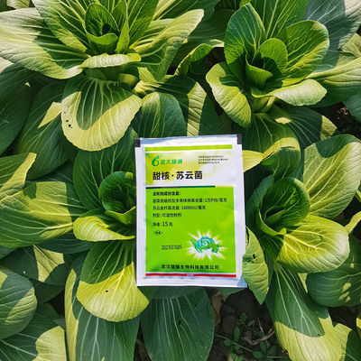 Organic certification insecticide excellent control of beet armyworm vegetable crop pests management