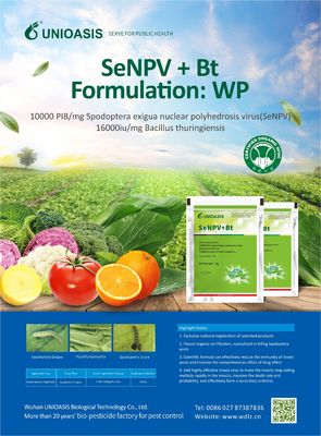 Natural Organic Pesticide for Maize Crops - Liquid Formulation with 20g Per 15L Water for Effective Fall Armyworm Control