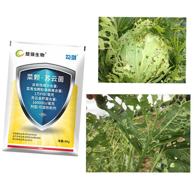 Organic Bacillus Thuringiensis Insecticide for Lepidoptera Pests